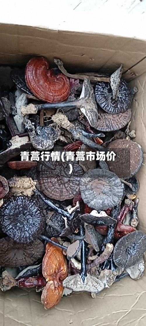 青蒿行情(青蒿市场价)-第3张图片