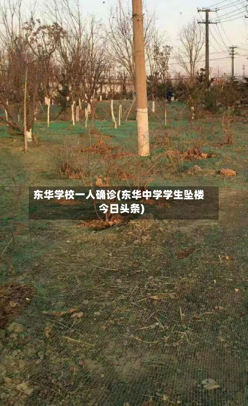 东华学校一人确诊(东华中学学生坠楼今日头条)-第3张图片