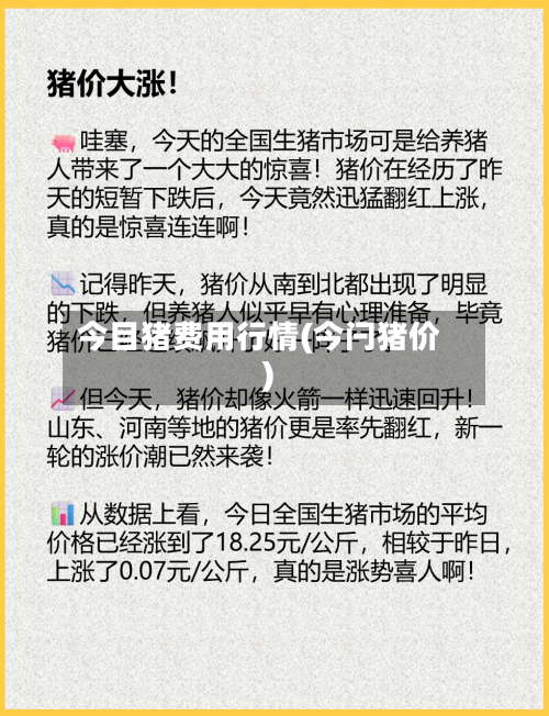 今目猪费用行情(今闩猪价)