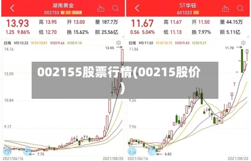 002155股票行情(00215股价)-第2张图片