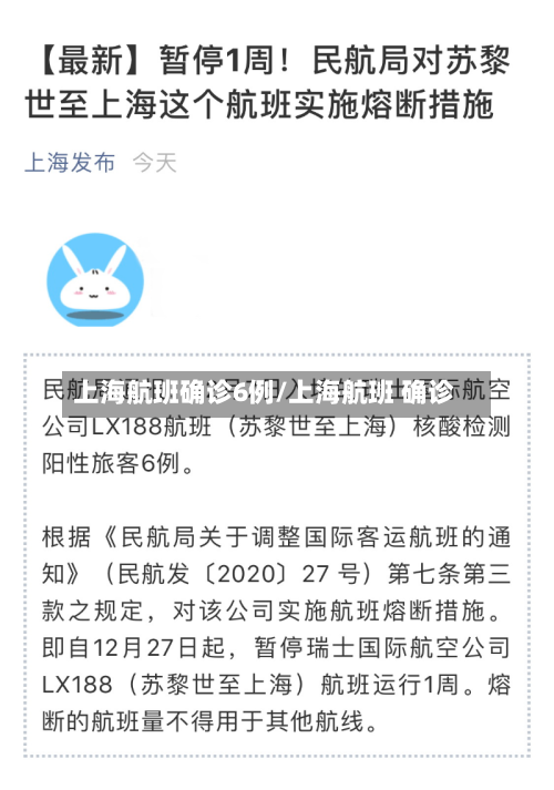 上海航班确诊6例/上海航班 确诊