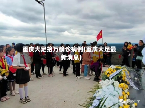 重庆大足拾万确诊病例(重庆大足最新消息)