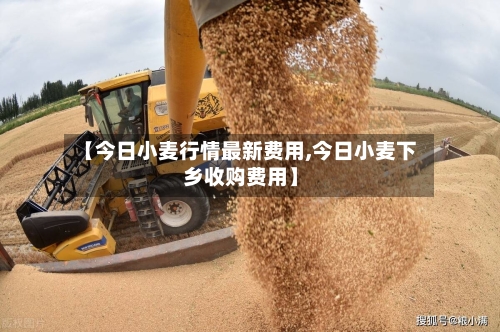【今日小麦行情最新费用,今日小麦下乡收购费用】-第2张图片