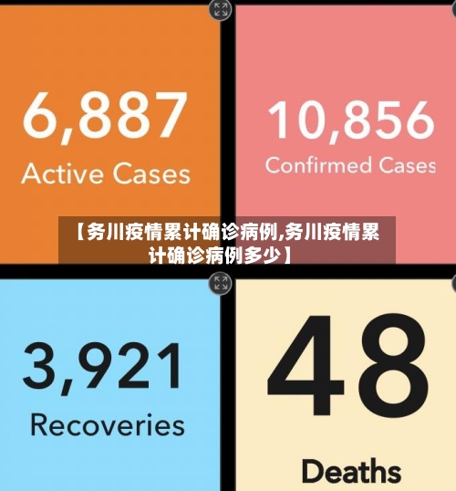 【务川疫情累计确诊病例,务川疫情累计确诊病例多少】