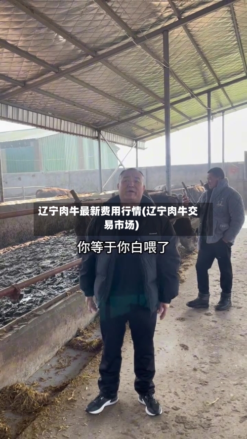 辽宁肉牛最新费用行情(辽宁肉牛交易市场)-第2张图片