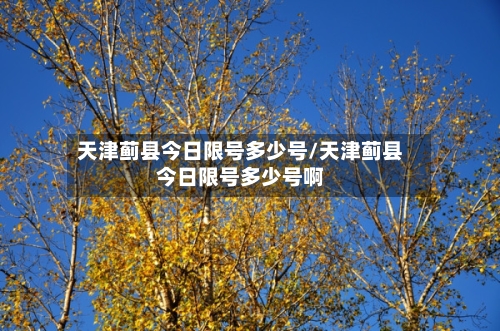 天津蓟县今日限号多少号/天津蓟县今日限号多少号啊