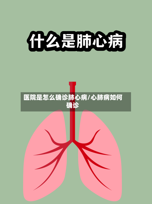 医院是怎么确诊肺心病/心肺病如何确诊