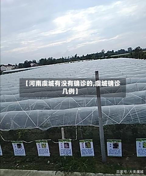 【河南虞城有没有确诊的,虞城确诊几例】