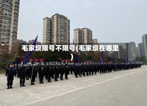 毛家坝限号不限号(毛家坝在哪里)-第3张图片