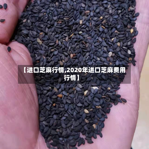 【进口芝麻行情,2020年进口芝麻费用行情】-第3张图片