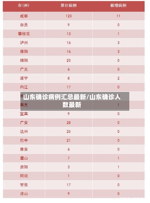 山东确诊病例汇总最新/山东确诊人数最新-第2张图片