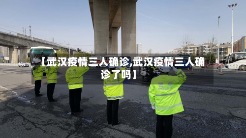 【武汉疫情三人确诊,武汉疫情三人确诊了吗】-第2张图片
