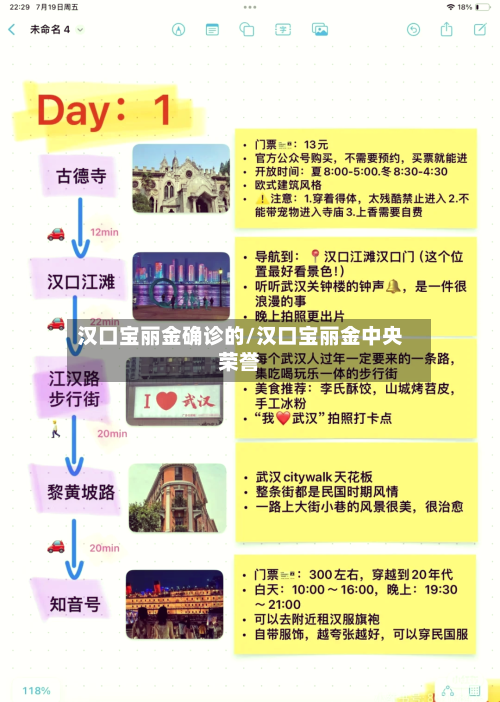 汉口宝丽金确诊的/汉口宝丽金中央荣誉-第2张图片