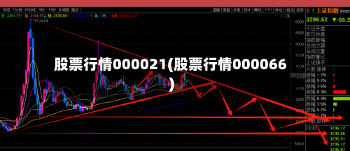 股票行情000021(股票行情000066)-第2张图片