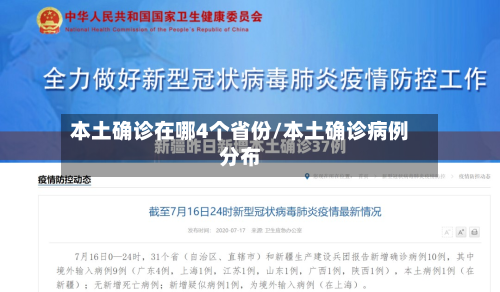 本土确诊在哪4个省份/本土确诊病例分布