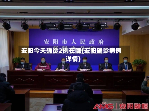 安阳今天确诊2例在哪(安阳确诊病例详情)-第2张图片