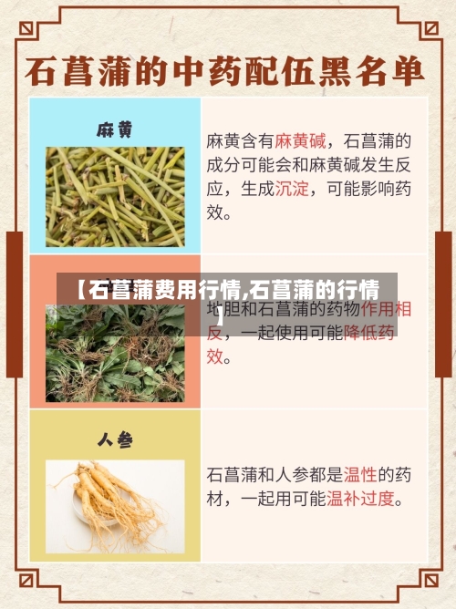 【石菖蒲费用行情,石菖蒲的行情】