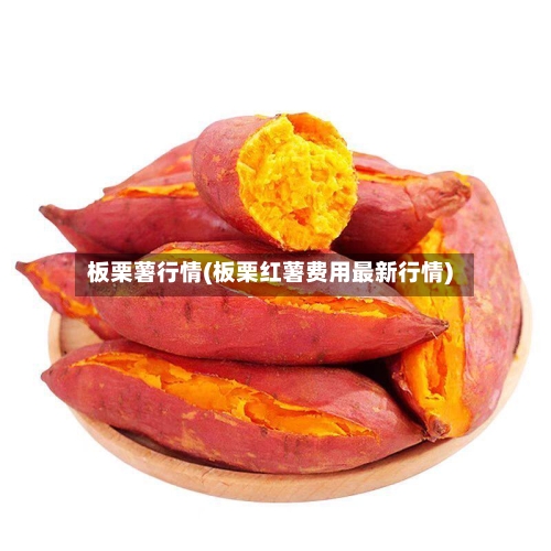 板栗薯行情(板栗红薯费用最新行情)-第2张图片
