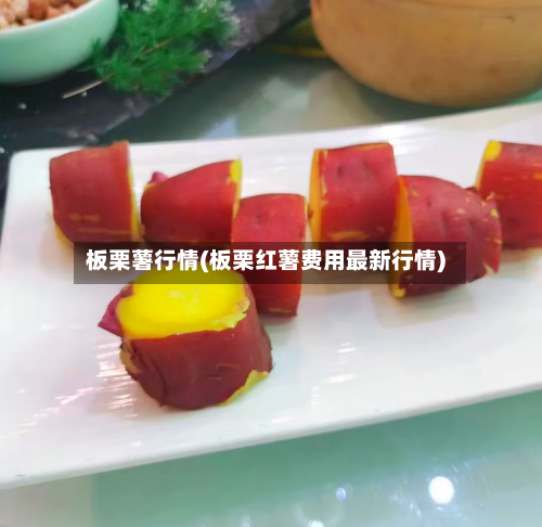 板栗薯行情(板栗红薯费用最新行情)-第3张图片