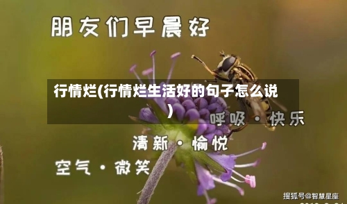 行情烂(行情烂生活好的句子怎么说)