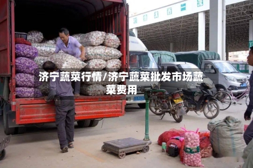 济宁蔬菜行情/济宁蔬菜批发市场蔬菜费用-第3张图片
