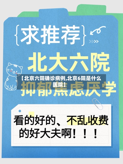 【北京六院确诊病例,北京6院是什么医院】