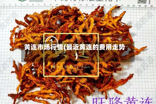 黄连市场行情(最近黄连的费用走势)-第2张图片