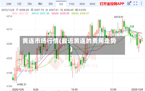 黄连市场行情(最近黄连的费用走势)