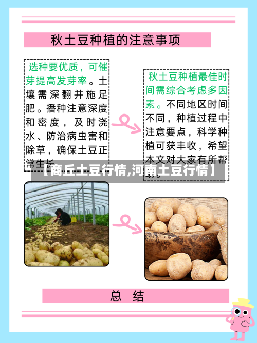 【商丘土豆行情,河南土豆行情】
