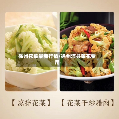 徐州花菜最新行情/徐州沛县菜花费用