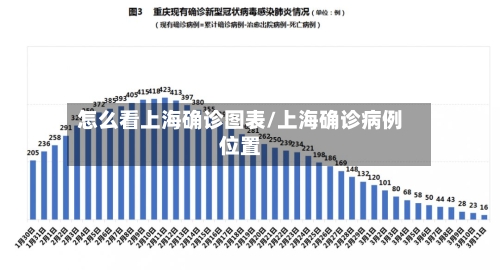 怎么看上海确诊图表/上海确诊病例位置-第2张图片