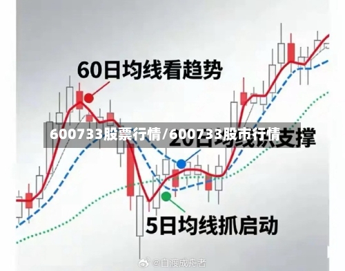 600733股票行情/600733股市行情
