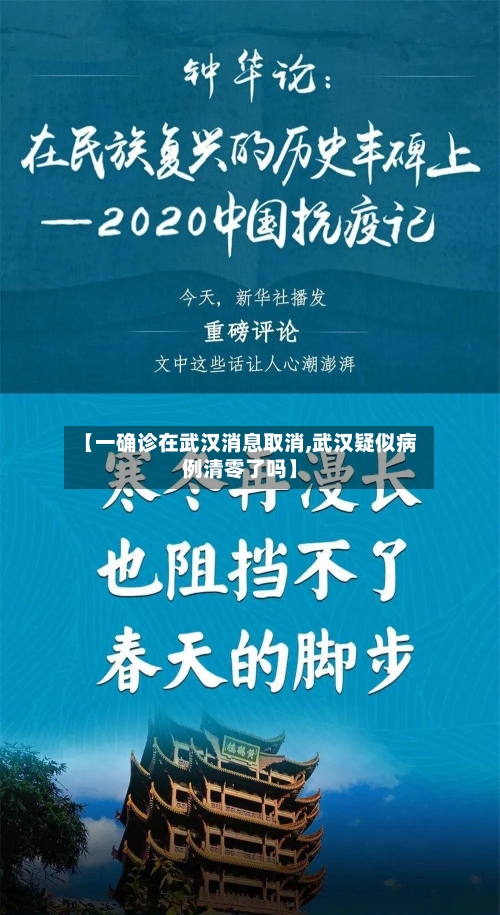 【一确诊在武汉消息取消,武汉疑似病例清零了吗】-第2张图片