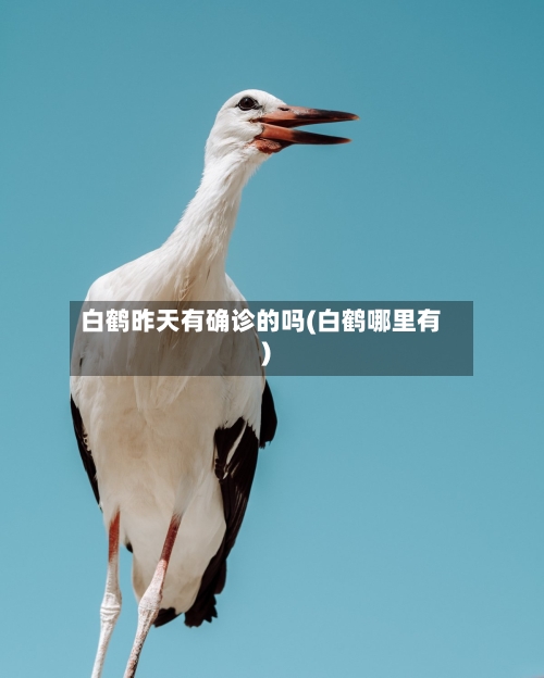 白鹤昨天有确诊的吗(白鹤哪里有)-第2张图片