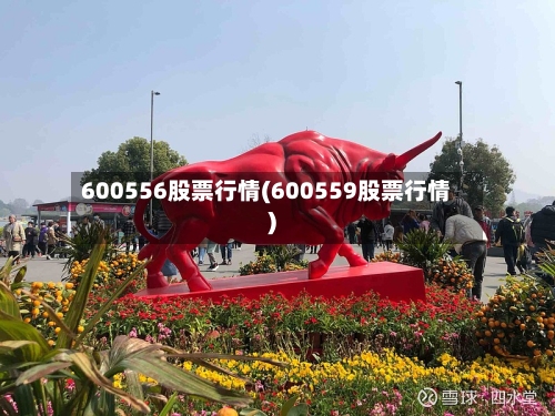 600556股票行情(600559股票行情)