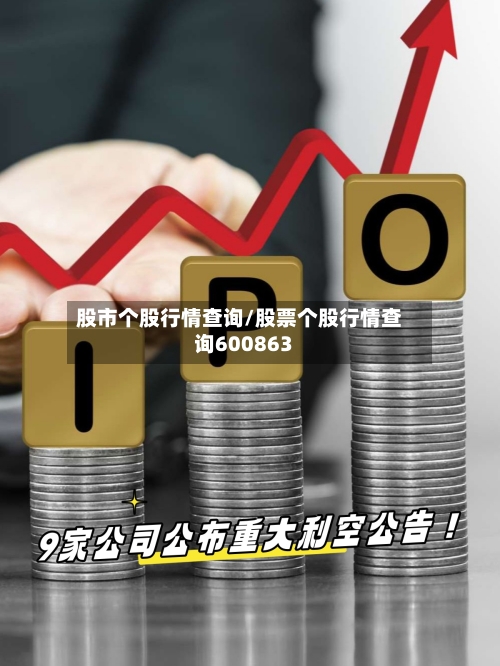 股市个股行情查询/股票个股行情查询600863
