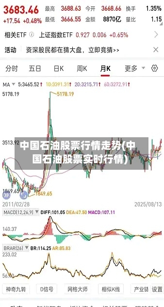 中国石油股票行情走势(中国石油股票实时行情)-第3张图片