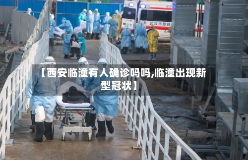 【西安临潼有人确诊吗吗,临潼出现新型冠状】-第3张图片