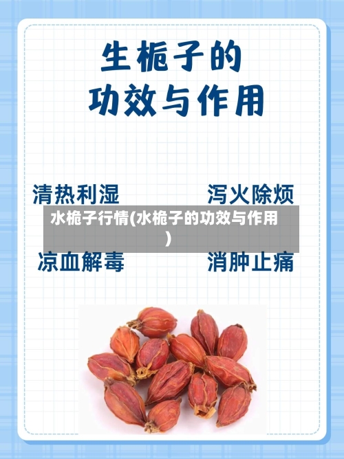 水桅子行情(水桅子的功效与作用)