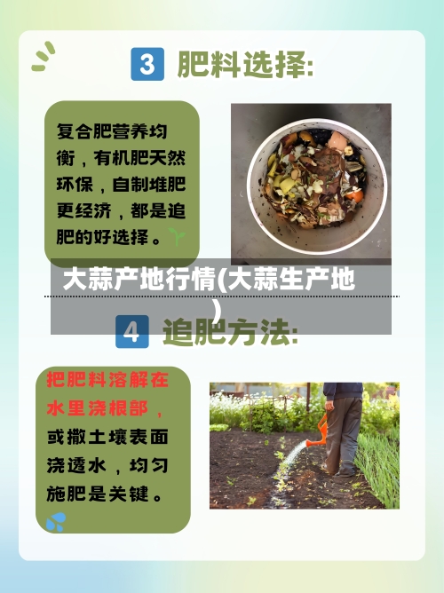 大蒜产地行情(大蒜生产地)