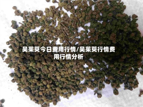吴茱萸今日费用行情/吴茱萸行情费用行情分析-第3张图片