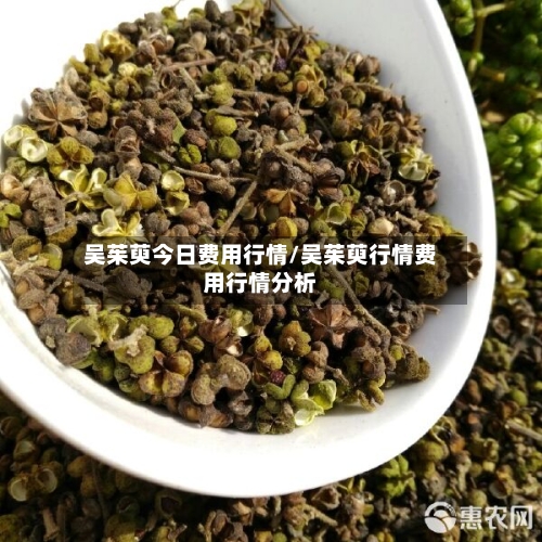 吴茱萸今日费用行情/吴茱萸行情费用行情分析