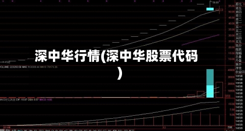 深中华行情(深中华股票代码)