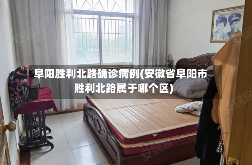 阜阳胜利北路确诊病例(安徽省阜阳市胜利北路属于哪个区)-第2张图片