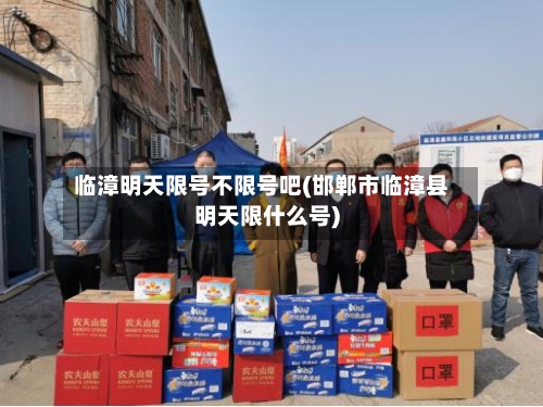 临漳明天限号不限号吧(邯郸市临漳县明天限什么号)