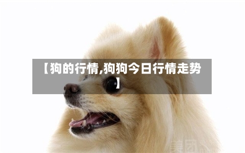 【狗的行情,狗狗今日行情走势】-第2张图片