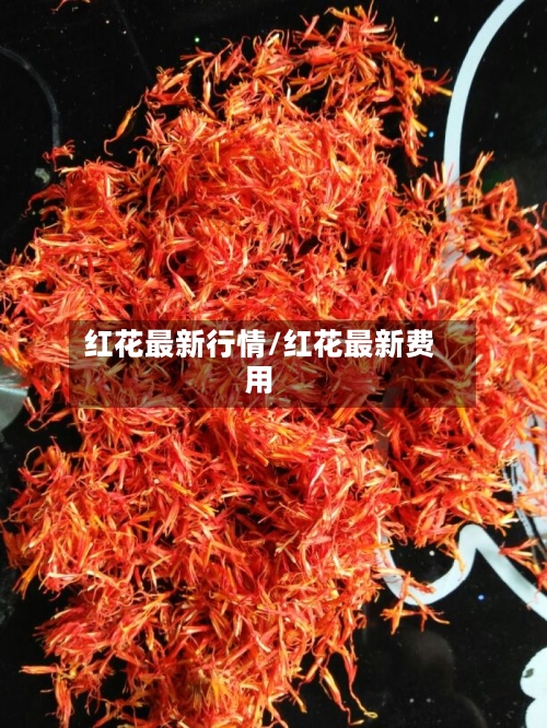 红花最新行情/红花最新费用