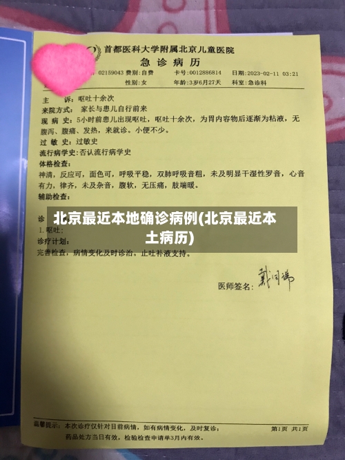 北京最近本地确诊病例(北京最近本土病历)-第3张图片