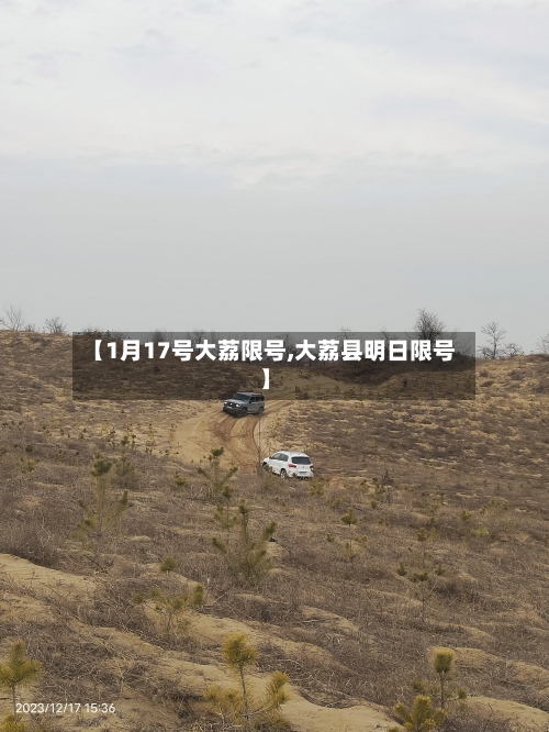 【1月17号大荔限号,大荔县明日限号】-第3张图片