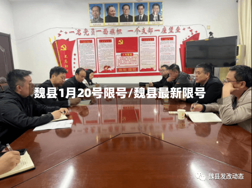 魏县1月20号限号/魏县最新限号-第3张图片